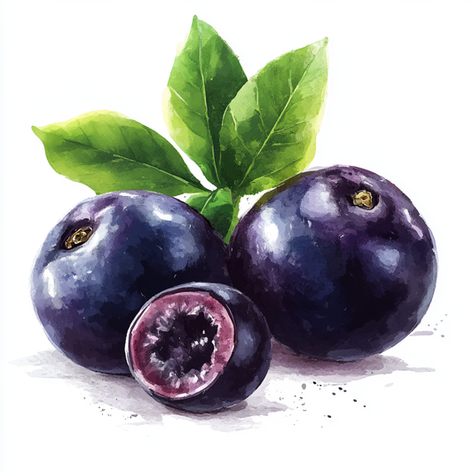 Why Okah Açaí is your #1 choice for health and wellness